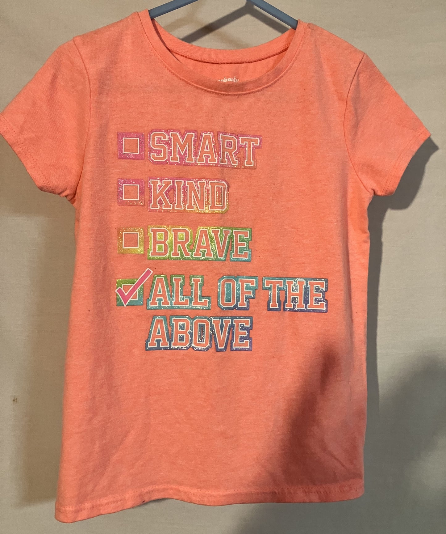 3 Little Girls Shirts, Size 5T