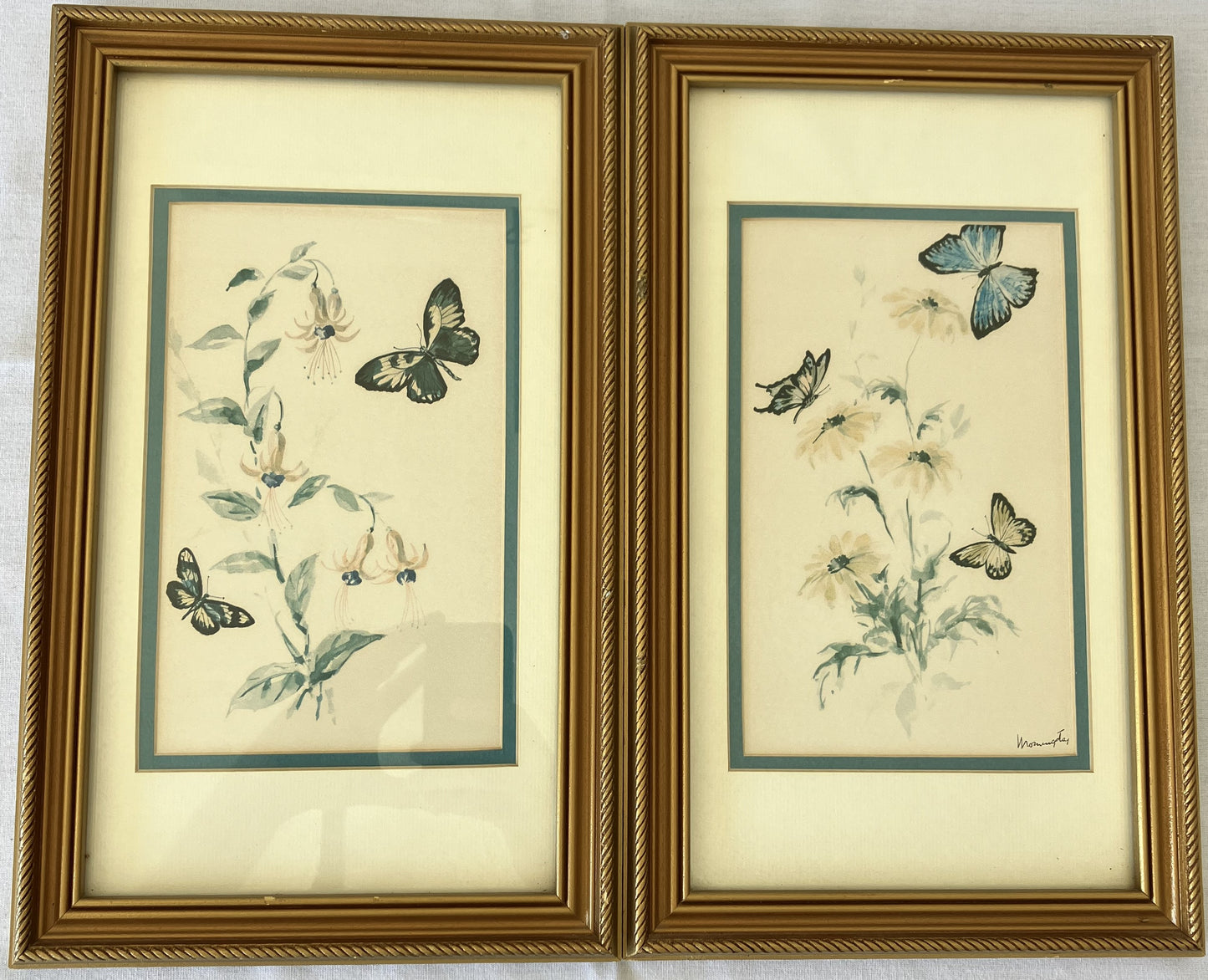 Set of Framed Butterfly Prints by Morningstar