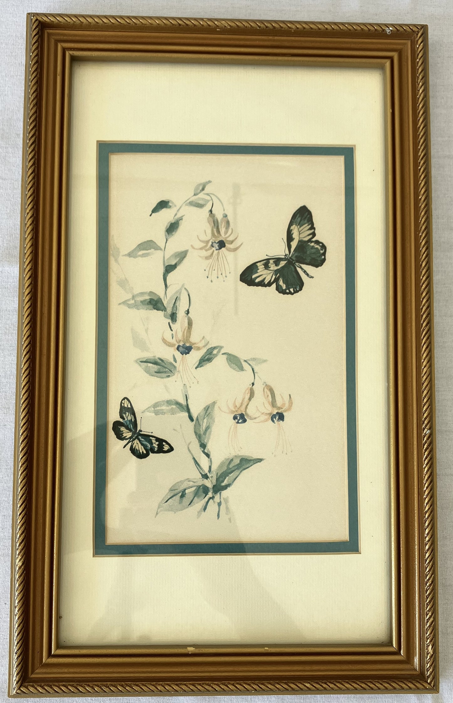 Set of Framed Butterfly Prints by Morningstar