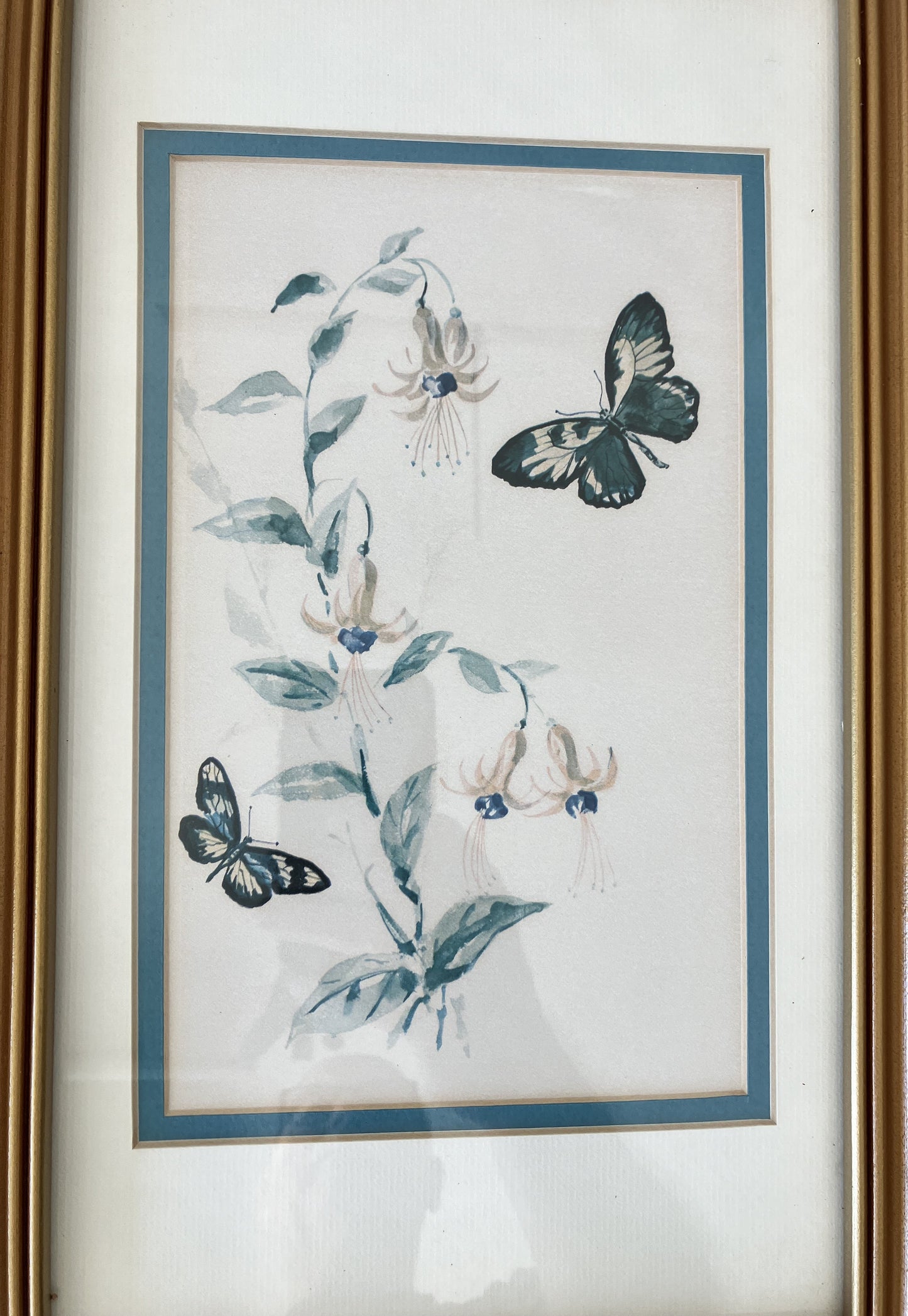 Set of Framed Butterfly Prints by Morningstar