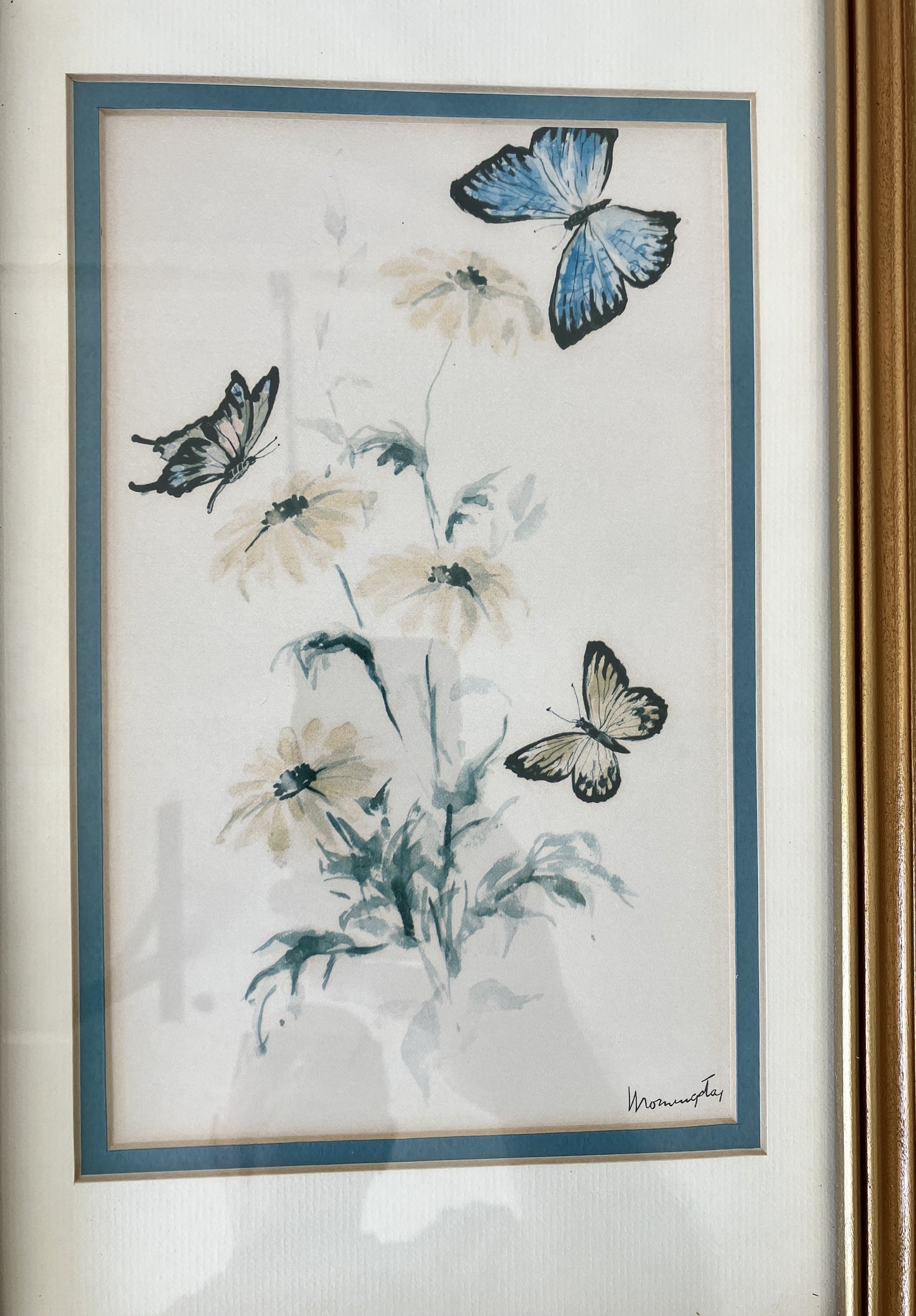 Set of Framed Butterfly Prints by Morningstar