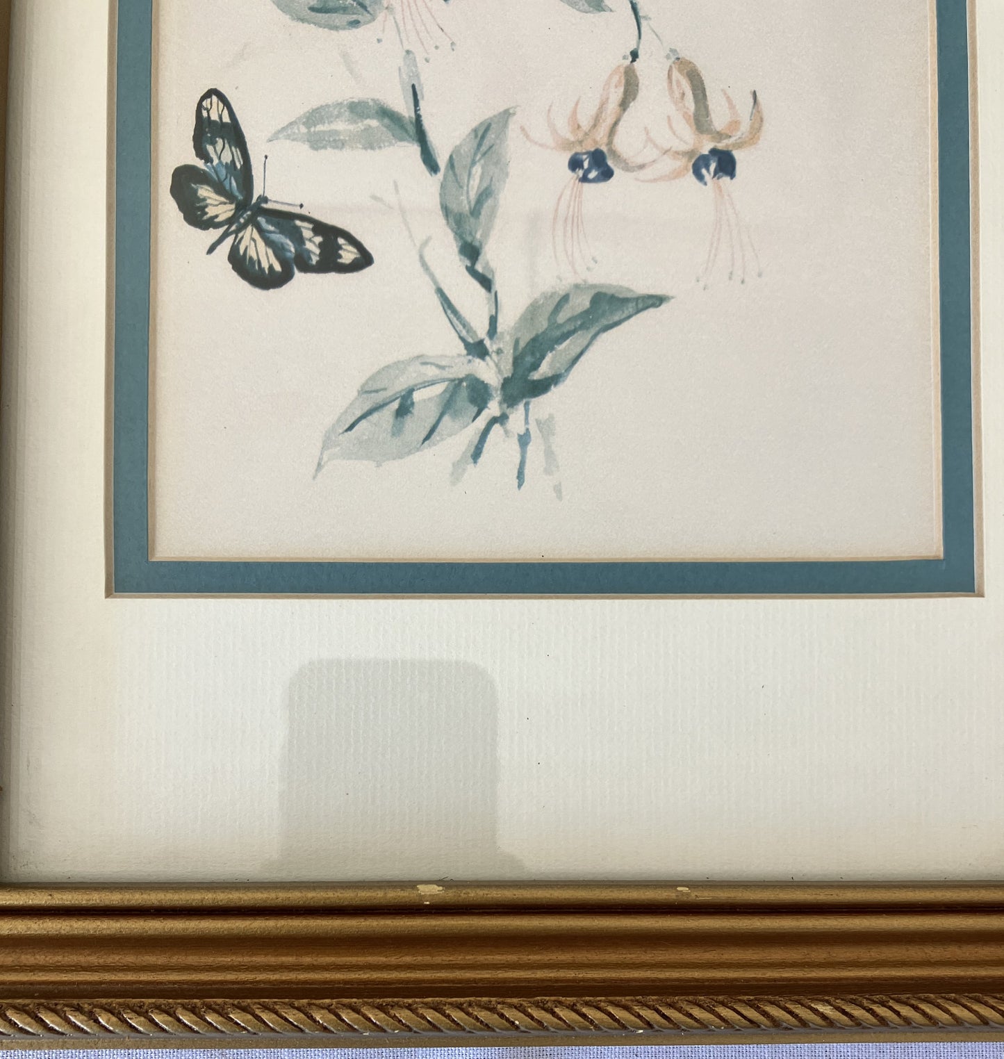 Set of Framed Butterfly Prints by Morningstar