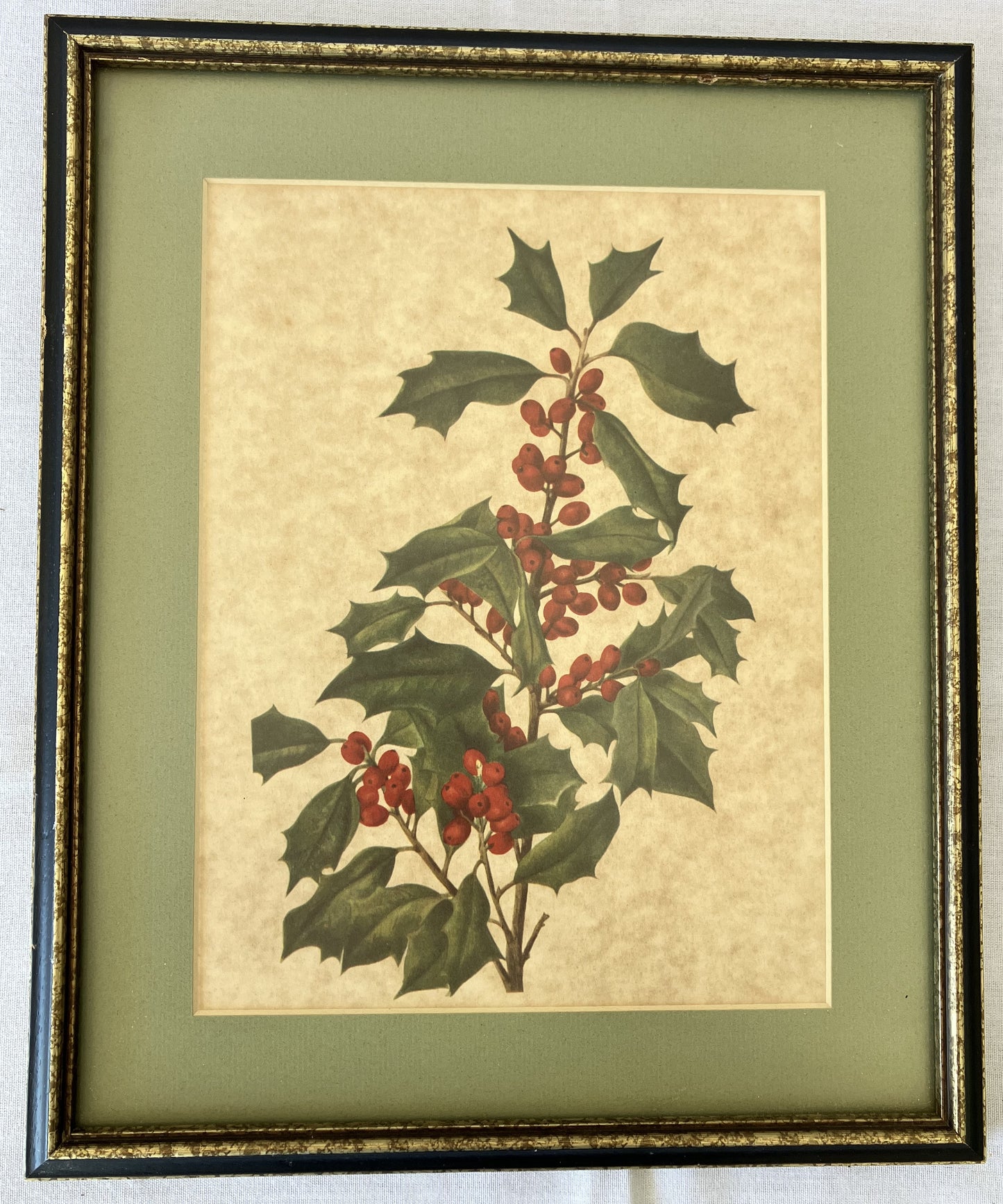 Botanical Framed Print, Holly Branch with Berries