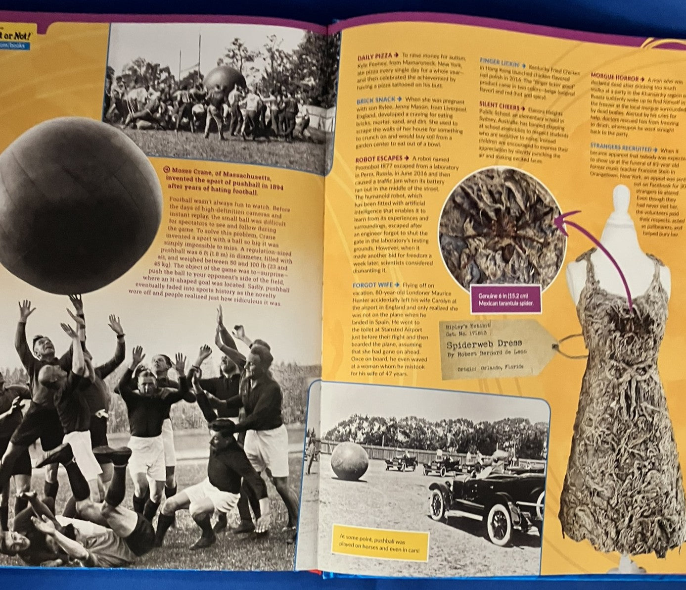 Ripley's Believe It Or Not! Shatter Your Senses! Annual 2017 Edition